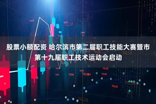 股票小额配资 哈尔滨市第二届职工技能大赛暨市第十九届职工技术运动会启动
