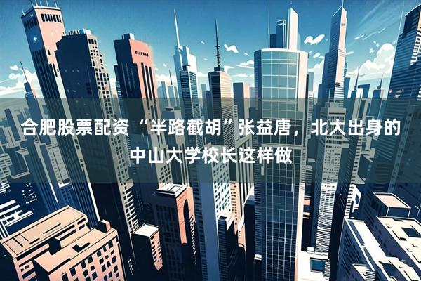 合肥股票配资 “半路截胡”张益唐，北大出身的中山大学校长这样做