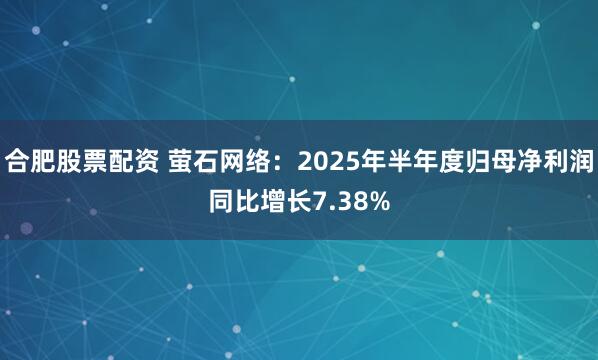 合肥股票配资 萤石网络：2025年半年度归母净利润同比增长7.38%